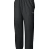 Champion Reverse Weave Adult Pant 2 Champion Reverse Weave Adult Pant -Outfit Fashion Shop HBI RW10 Black