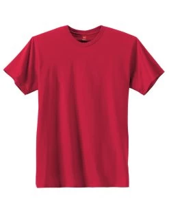 Hanes Men's Nano-T T-shirt 32 Hanes Men's Nano-T T-shirt -Outfit Fashion Shop JMS H4980 DeepRed