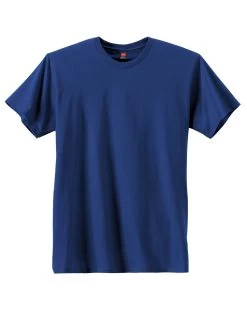 Hanes Men's Nano-T T-shirt 33 Hanes Men's Nano-T T-shirt -Outfit Fashion Shop OHP H4980 DeepRoyal