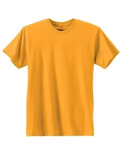Hanes Men's Nano-T T-shirt 36 Hanes Men's Nano-T T-shirt -Outfit Fashion Shop OHP H4980 Gold