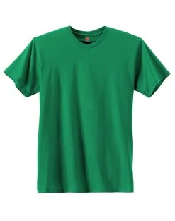 Hanes Men's Nano-T T-shirt 38 Hanes Men's Nano-T T-shirt -Outfit Fashion Shop OHP H4980 KellyGreen