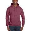 Champion Men's Double Dry Action Fleece Pullover Hood