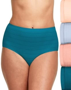 Hanes Womens Ultimate Comfort Flex Fit Brief 4-Pack 23 Hanes Womens Ultimate Comfort Flex Fit Brief 4-Pack -Outfit Fashion Shop bc45f435 e4cb 4d05 aae9 720864daa189