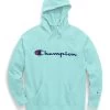 Champion Womens Plus Powerblend Fleece Hoodie