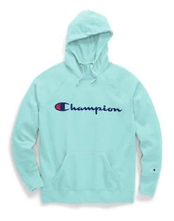 Champion Womens Plus Powerblend Fleece Hoodie